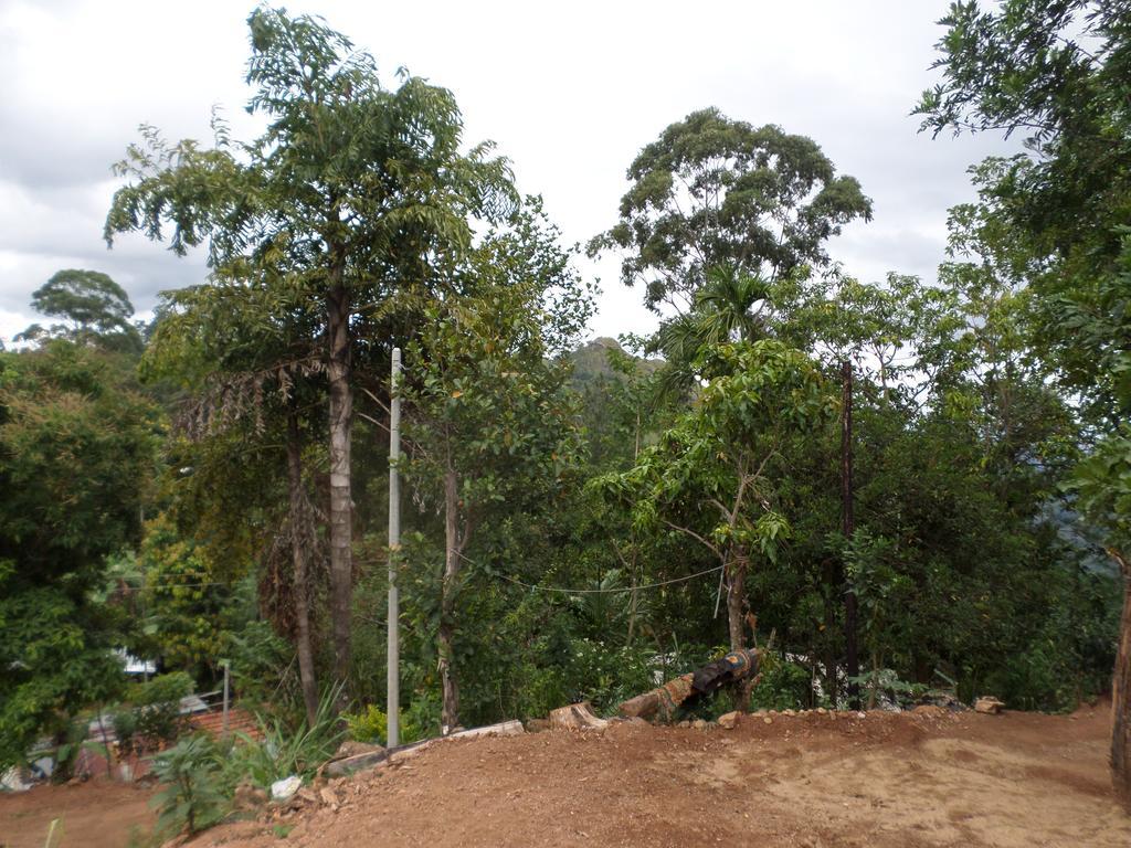 Jaye Homestay Ella Esterno foto