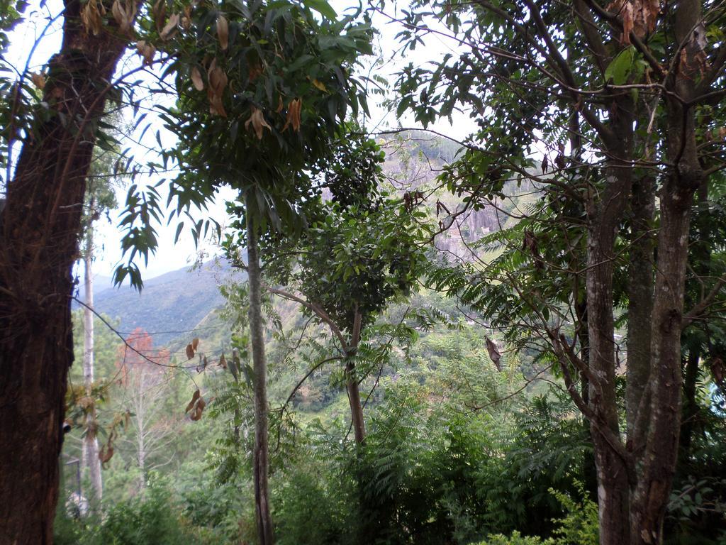 Jaye Homestay Ella Esterno foto